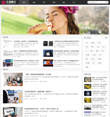 响应式博客自媒体运营类网站案例