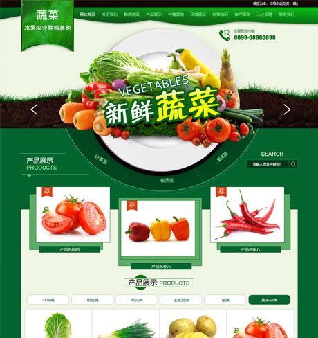 瓜果蔬菜农业种植基地网站案例