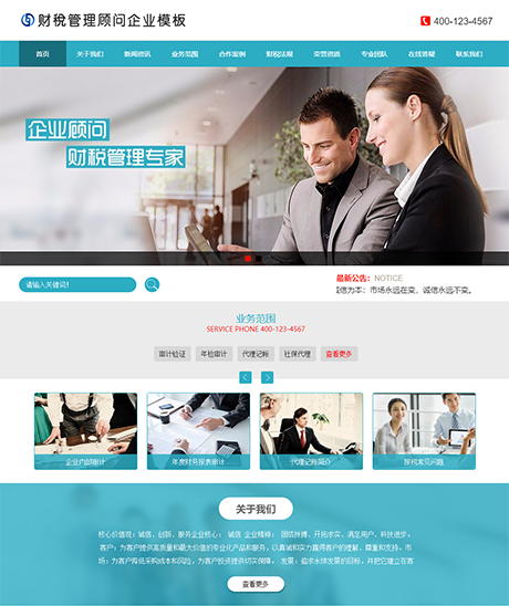 财税管理顾问企业网站案例