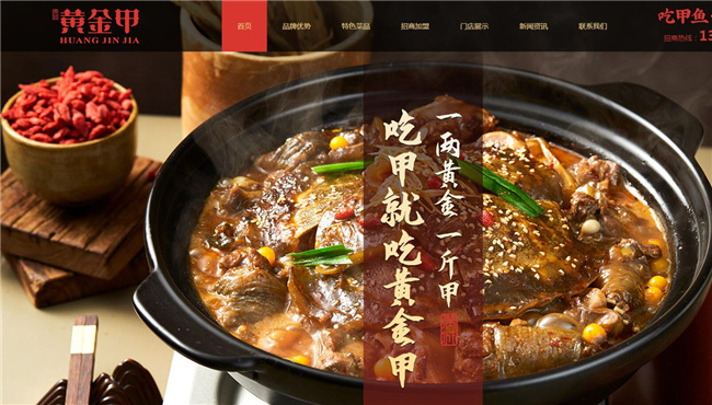 煌金甲网站案例