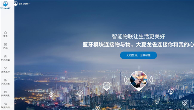 大夏龙雀网站案例